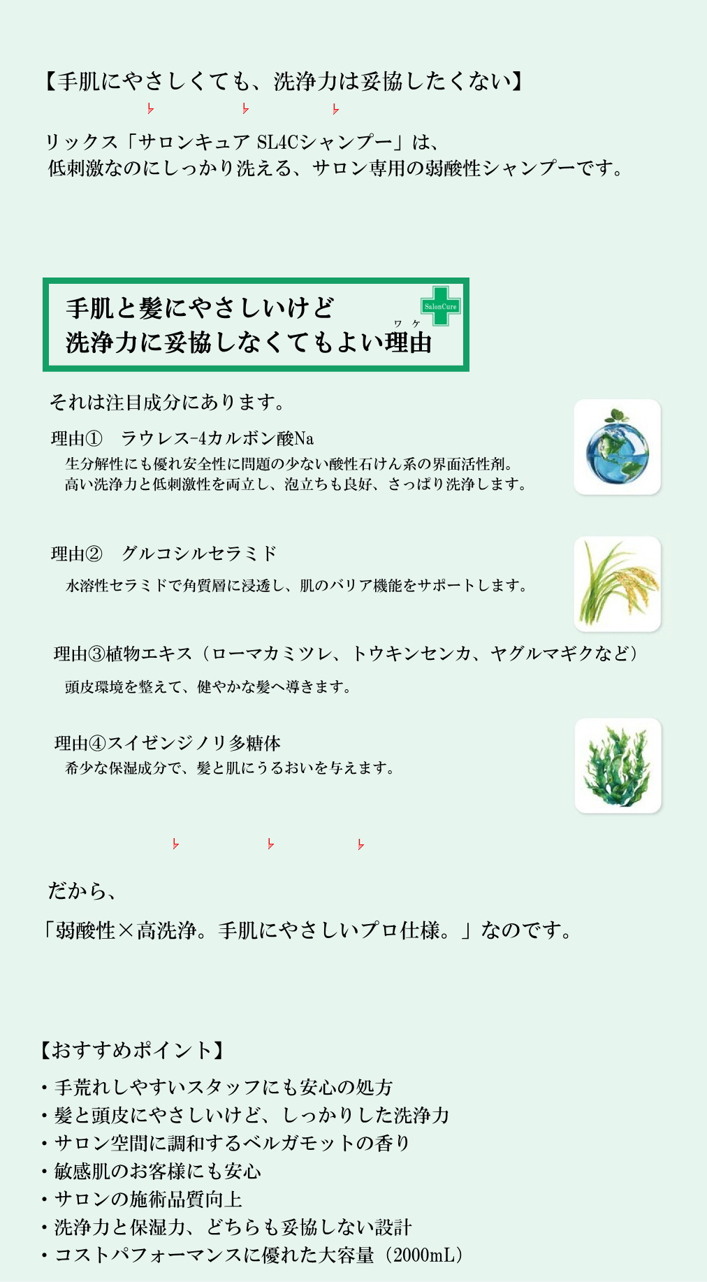 サロンキュア　ＳＬ４Ｃシャンプー